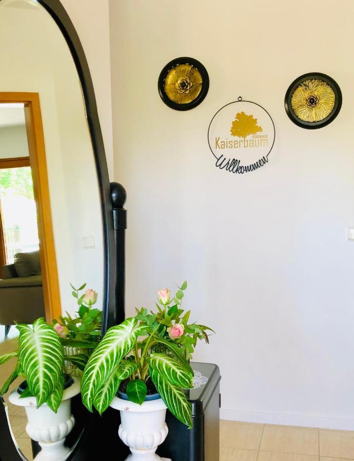 Ferienhaus Kaiserbaum Illmitz Dış mekan fotoğraf